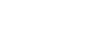 氧化鋅的多元價值_